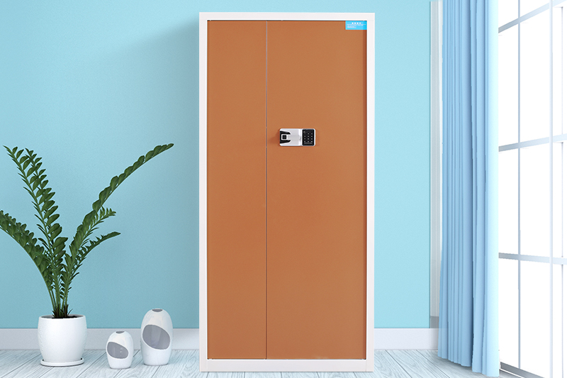 通門(mén)保密柜白套咖